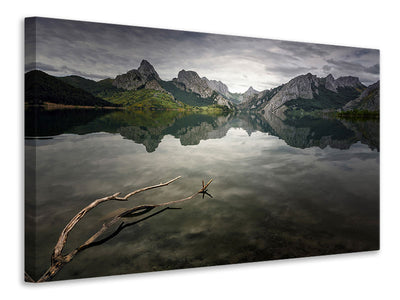 canvas-print-reflection-v