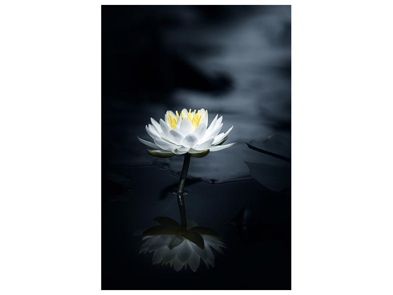 canvas-print-reflection-x