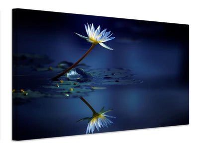 canvas-print-reflection-xdb