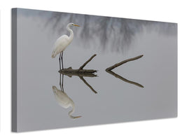 canvas-print-reflections-x