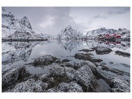 canvas-print-reine-x