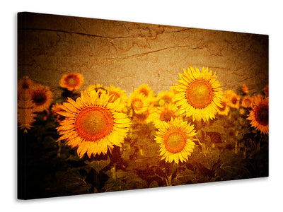 canvas-print-retro-sunflower