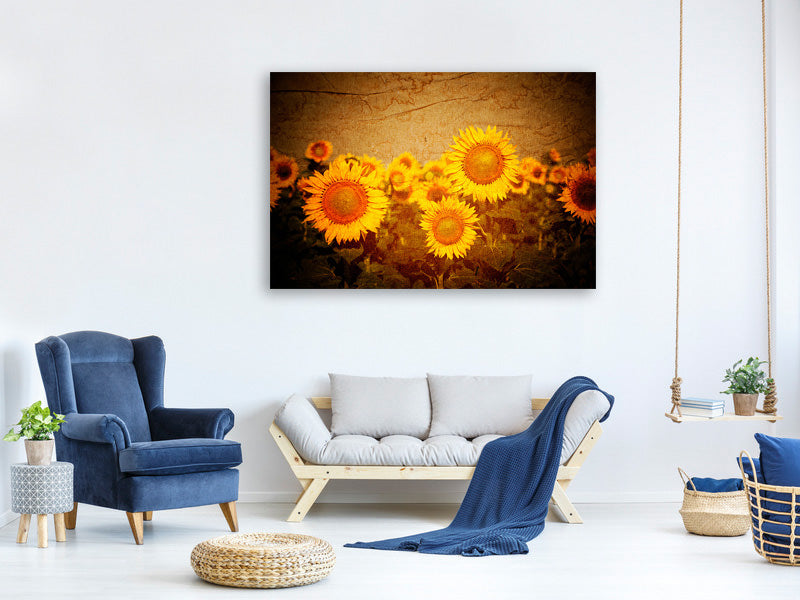 canvas-print-retro-sunflower