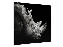 canvas-print-rhino-x