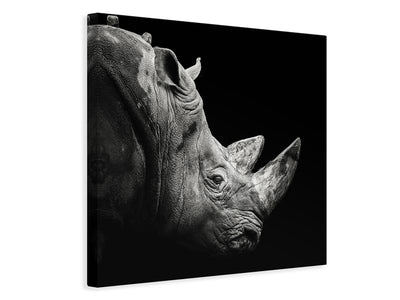 canvas-print-rhino-x
