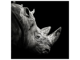 canvas-print-rhino-x