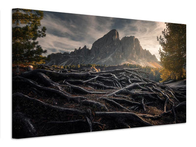 canvas-print-roots-x