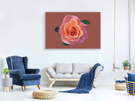 canvas-print-rose-in-apricot-xxl