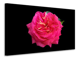 canvas-print-rose-in-red-xxl