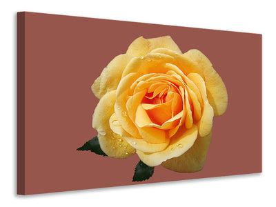 canvas-print-rose-in-yellow-xxl