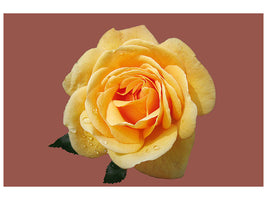 canvas-print-rose-in-yellow-xxl