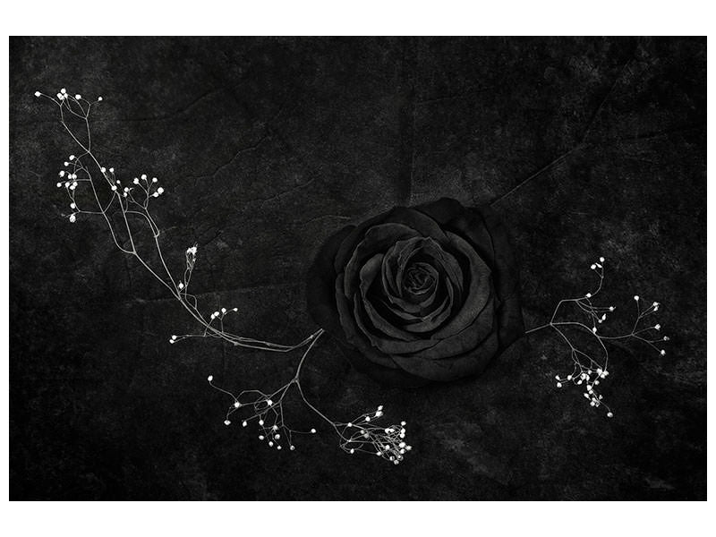 canvas-print-rose-noire