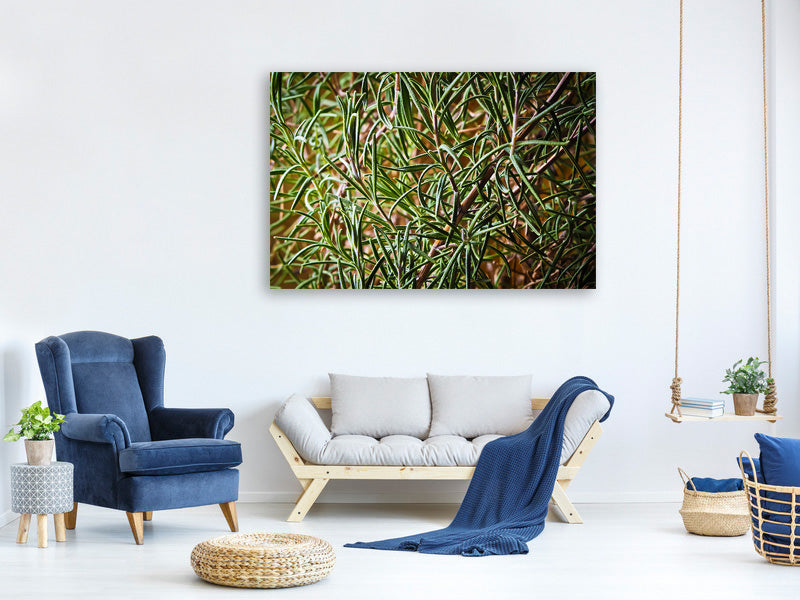 canvas-print-rosemary-xxl