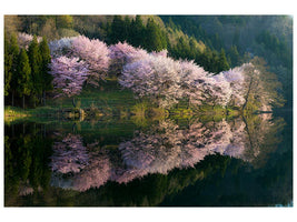 canvas-print-sakura-x