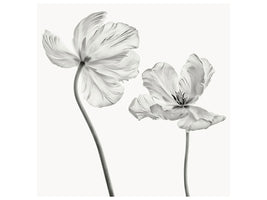 canvas-print-same-tulip-front-and-backview