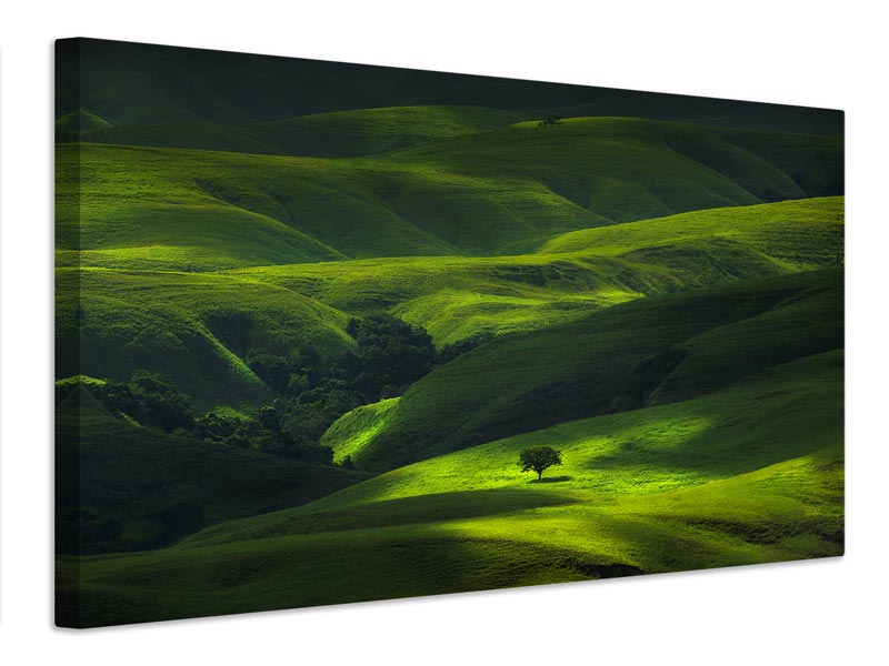 canvas-print-savana-mamboro-x