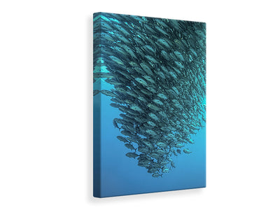 canvas-print-schooling-jackfishes