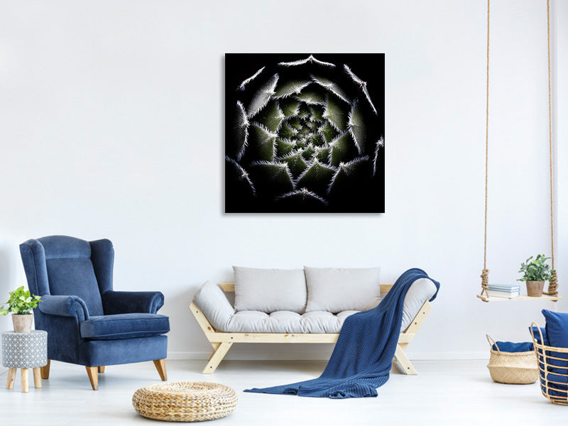 canvas-print-sempervivum-rosette