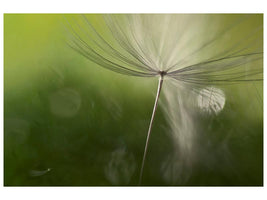 canvas-print-shadows-in-the-green-x