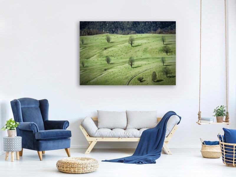 canvas-print-sheeps-x