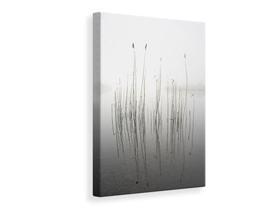 canvas-print-silence