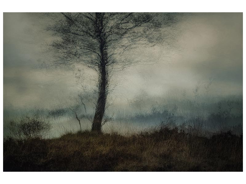 canvas-print-silent-x