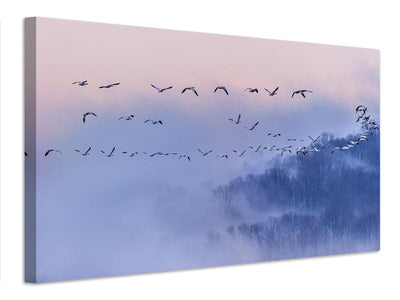 canvas-print-snow-geese-x
