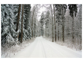 canvas-print-snow-in-the-forest