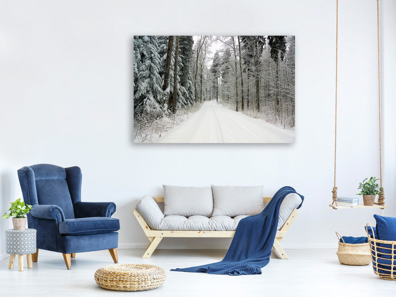 canvas-print-snow-in-the-forest