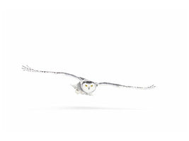 canvas-print-snowy-owl-on-the-hunt-x