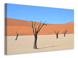 canvas-print-sossusvlei-namibia