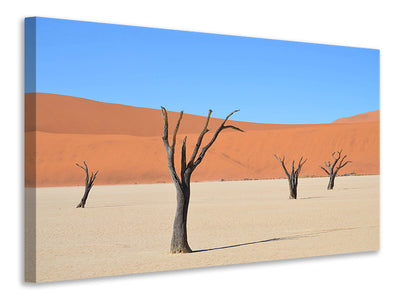 canvas-print-sossusvlei-namibia