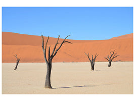 canvas-print-sossusvlei-namibia