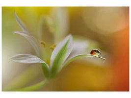 canvas-print-sound-of-colors