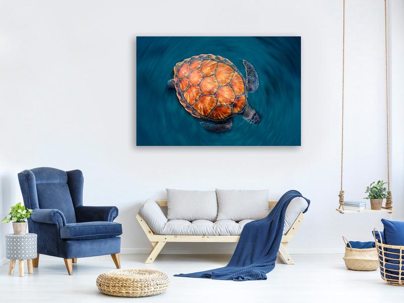 canvas-print-spin-turtle-x