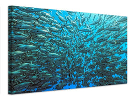 canvas-print-splitted-school-of-jackfish-x