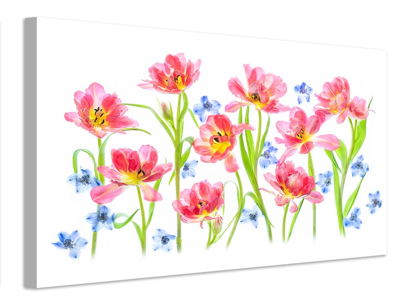 canvas-print-spring-delight-x