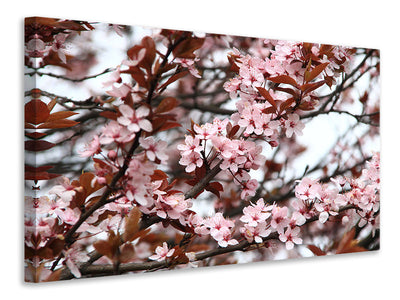 canvas-print-spring-is-here