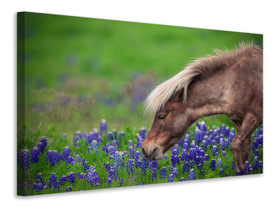 canvas-print-spring-is-in-the-air