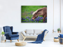 canvas-print-spring-is-in-the-air