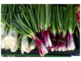 canvas-print-spring-onions