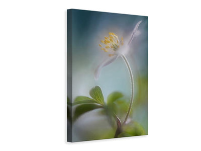 canvas-print-springtime-x