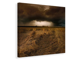 canvas-print-straw-country