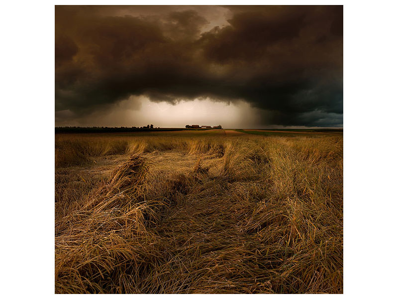 canvas-print-straw-country