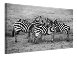 canvas-print-stripes-xoh