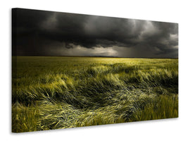 canvas-print-summer-weather