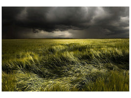 canvas-print-summer-weather