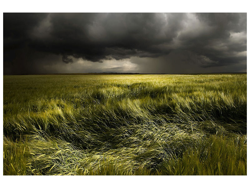 canvas-print-summer-weather