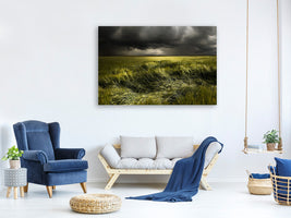 canvas-print-summer-weather