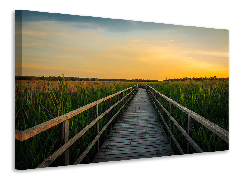 canvas-print-sunset-in-the-fields